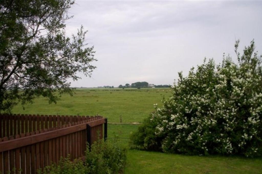 Apartamento Wohnen Unter Reet Galmsbull Exterior foto
